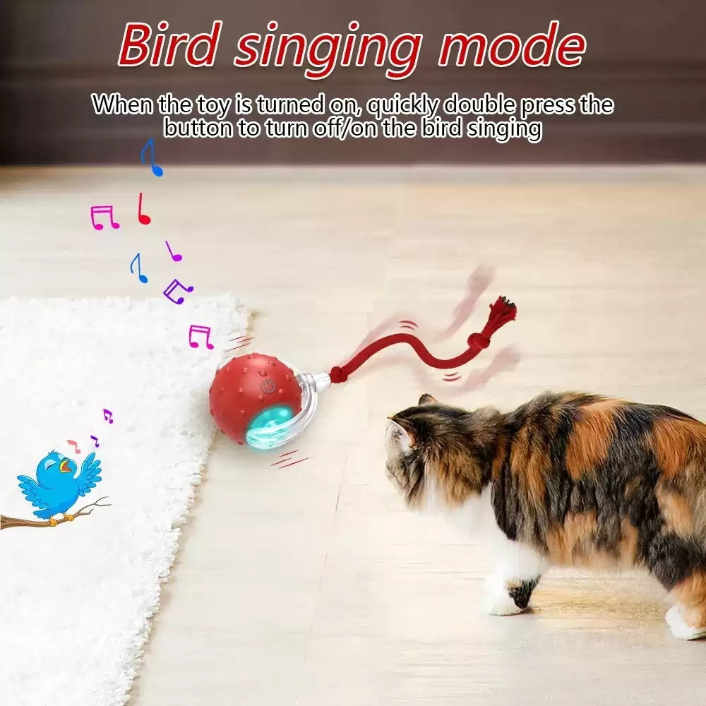 Super Drive Cat Rolling Balls