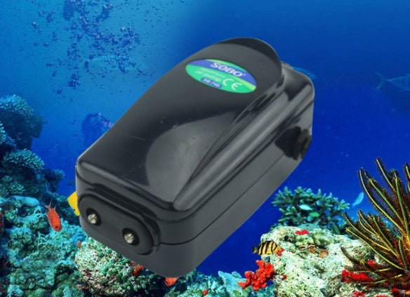 Aquarium Fish Culture Oxygenation
