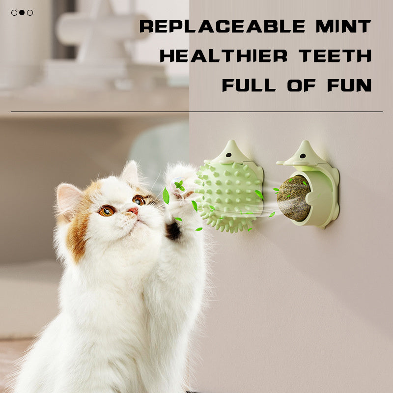 Cat Grooming Brush Wall Moun