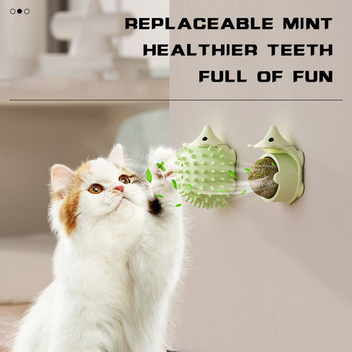 Cat Grooming Brush Wall Moun