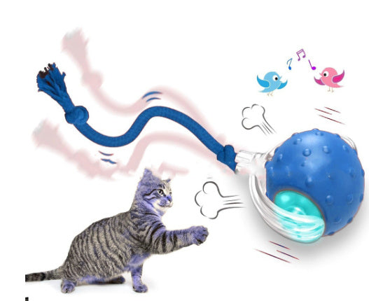Super Drive Cat Rolling Balls
