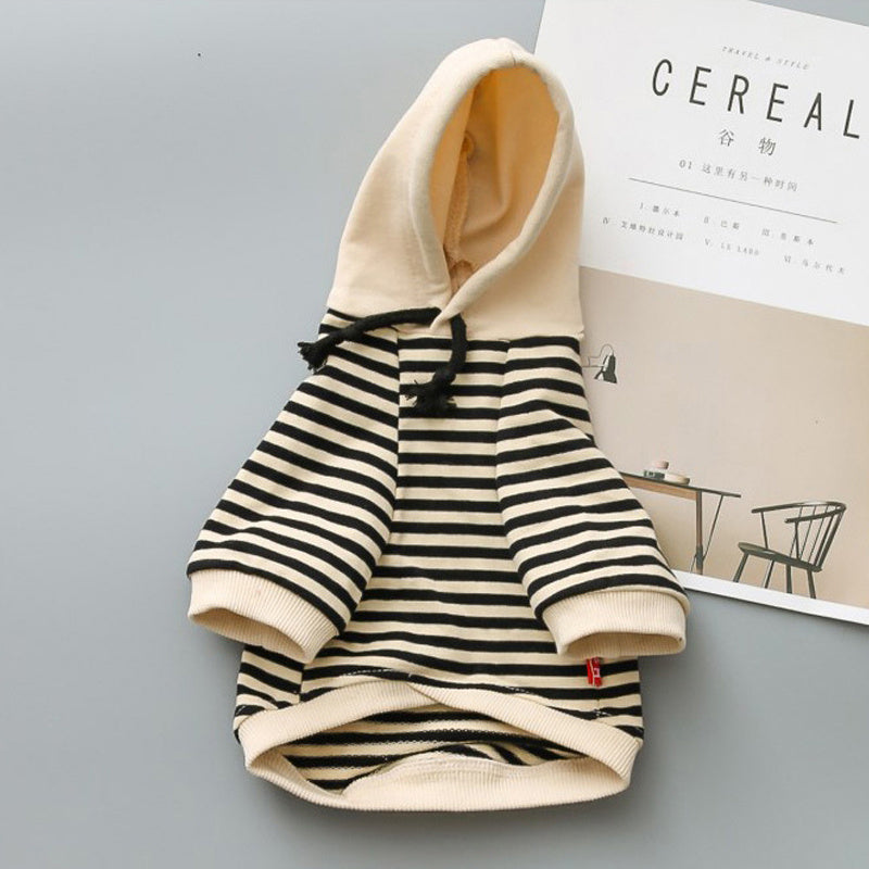 Dog Terry Sweater Teddy Small