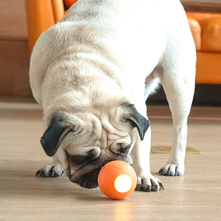 Teasing Cat Stick Smart Rolling Ball