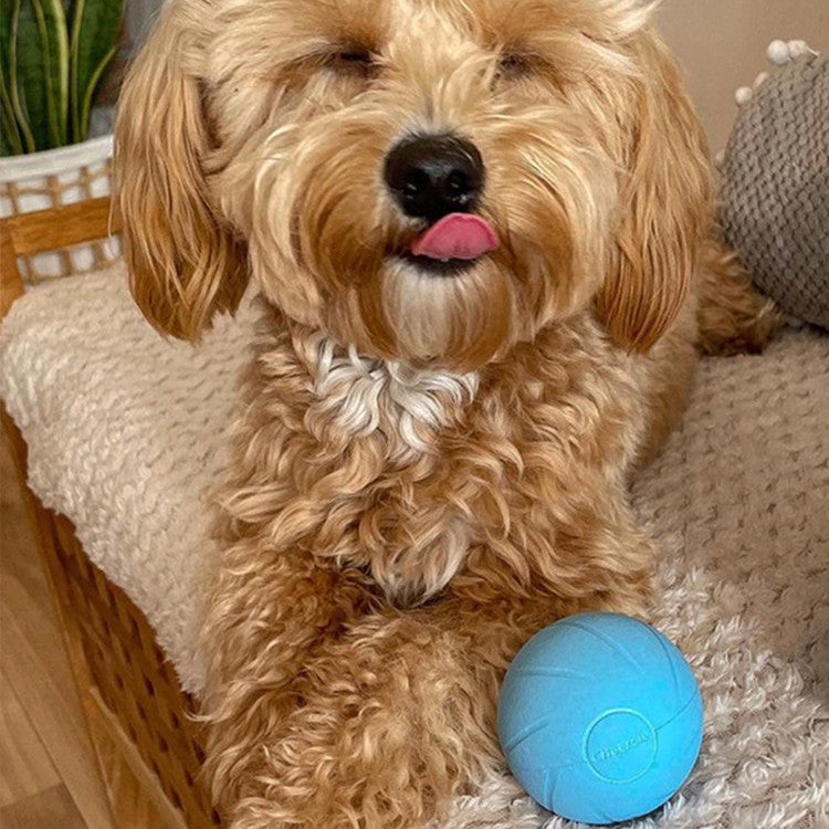 Teasing Cat Stick Smart Rolling Ball