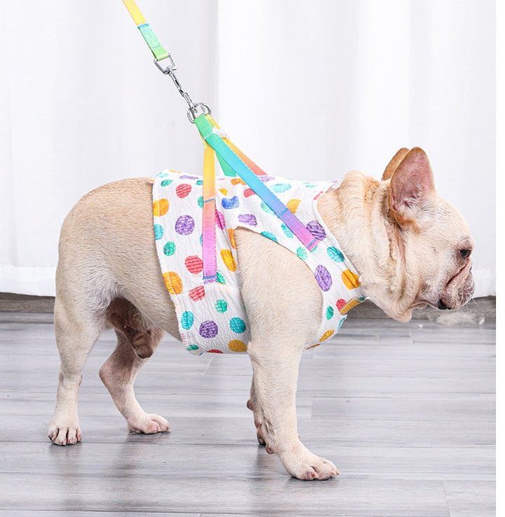 Pet Small Or Medium Sized Dog