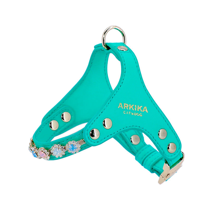 Dog Harness And Leash