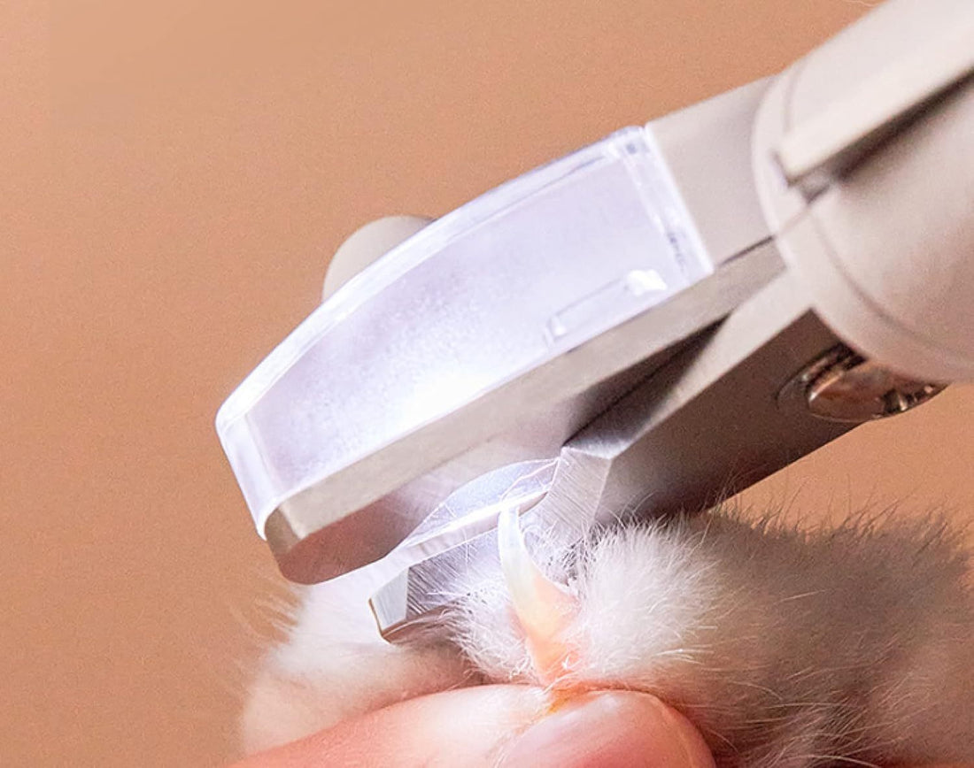 Large Dog Nail Clippers With LED