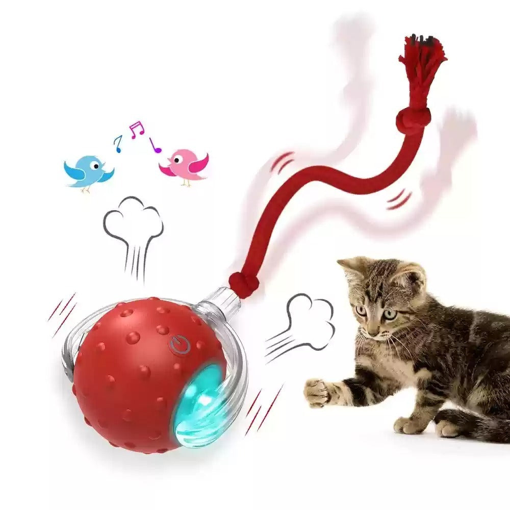Super Drive Cat Rolling Balls