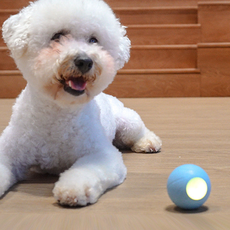 Teasing Cat Stick Smart Rolling Ball