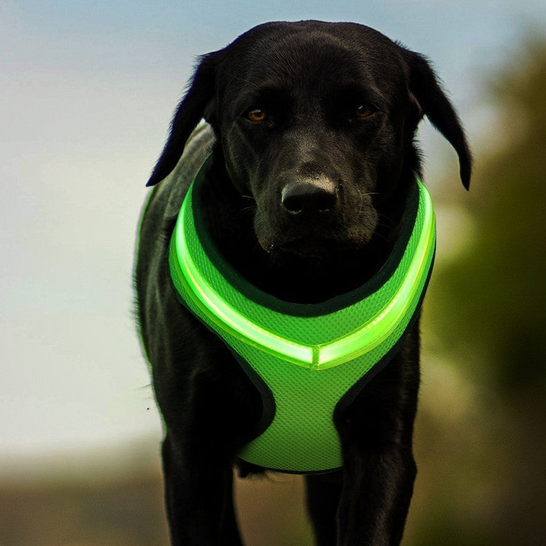 LED Luminous Dog Harness Led USB