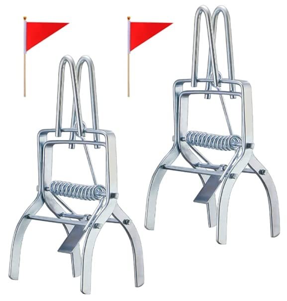 The Mole Rat Farm Rat Trap