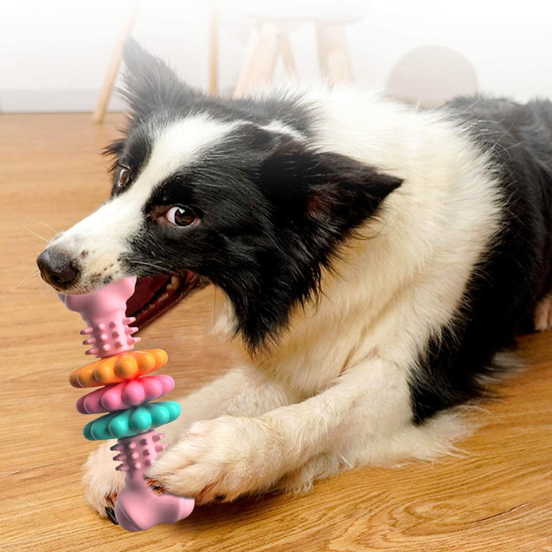 Dog Chew Toy Dog Bone Type