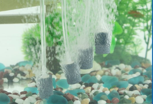 Aquarium Fish Culture Oxygenation