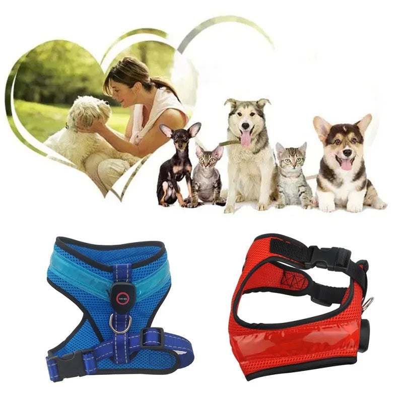 LED Luminous Dog Harness Led USB
