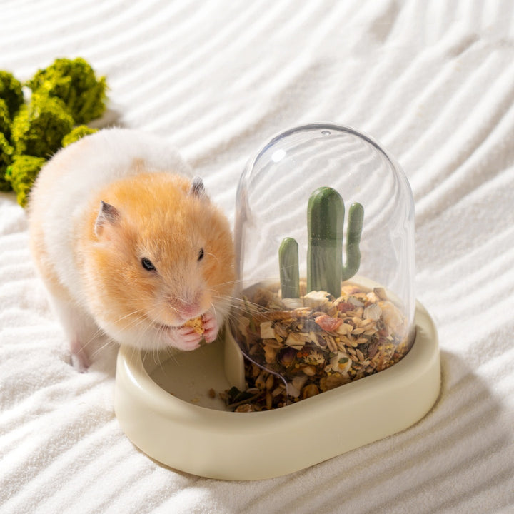 Creative Cactus Automatic Feeder