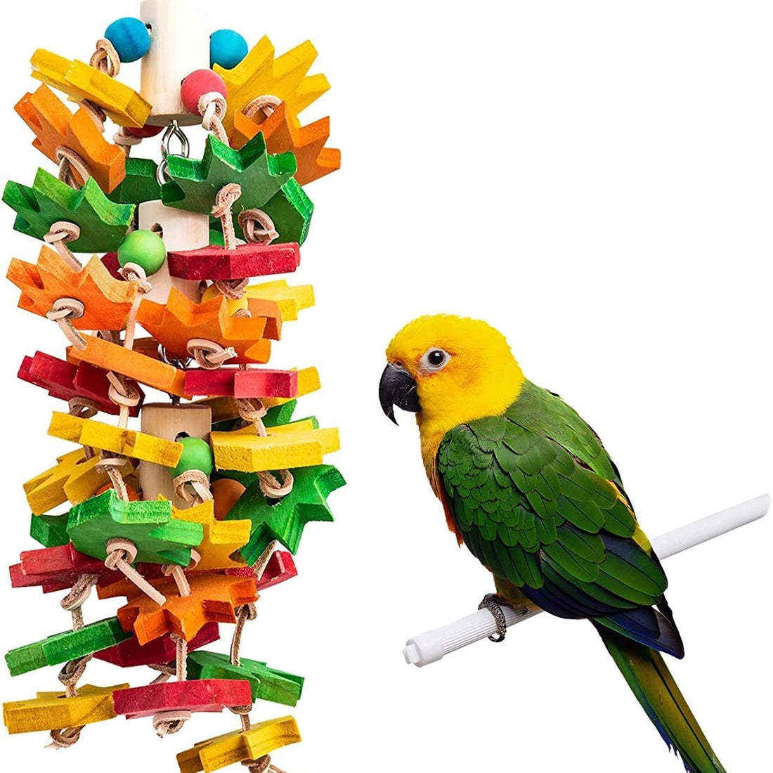 Wooden Color Nibbling Toy Medium